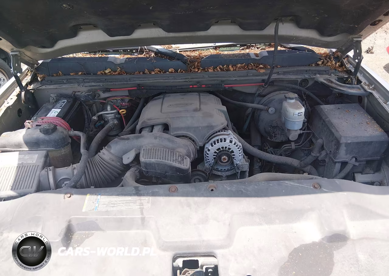 2008 Chevrolet Silverado 1500 Work Truck VIN:1GCEC19C18Z220755 - 10