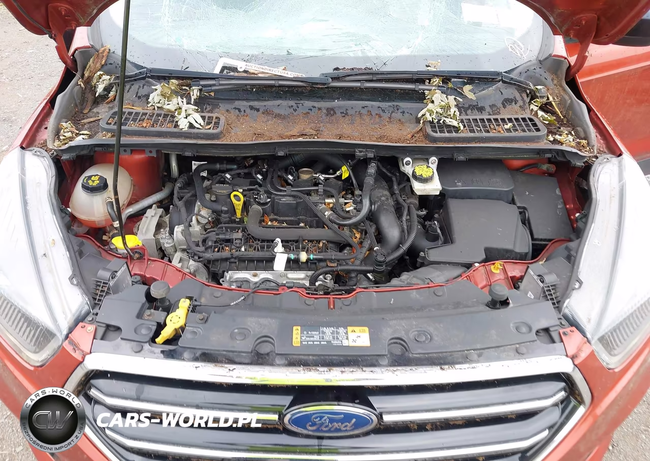 2019 Ford Escape Se VIN:1FMCU9GD2KUA07957 - 10