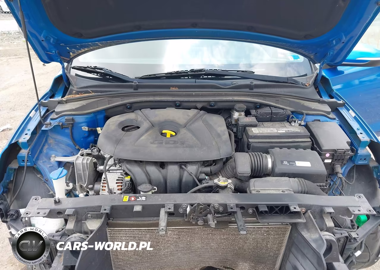 2018 Hyundai Elantra Gt VIN:KMHH35LE9JU022163 - 10