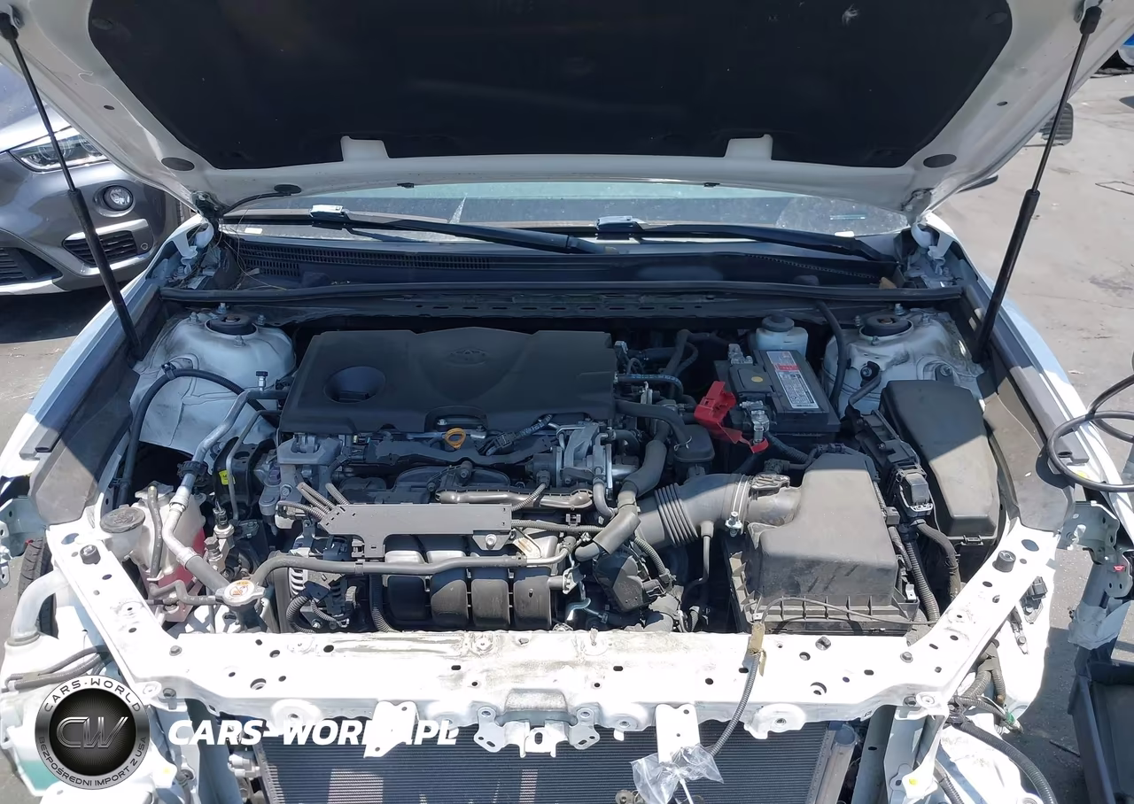 2019 Toyota Camry Le VIN:4T1B11HK8KU807536 - 10