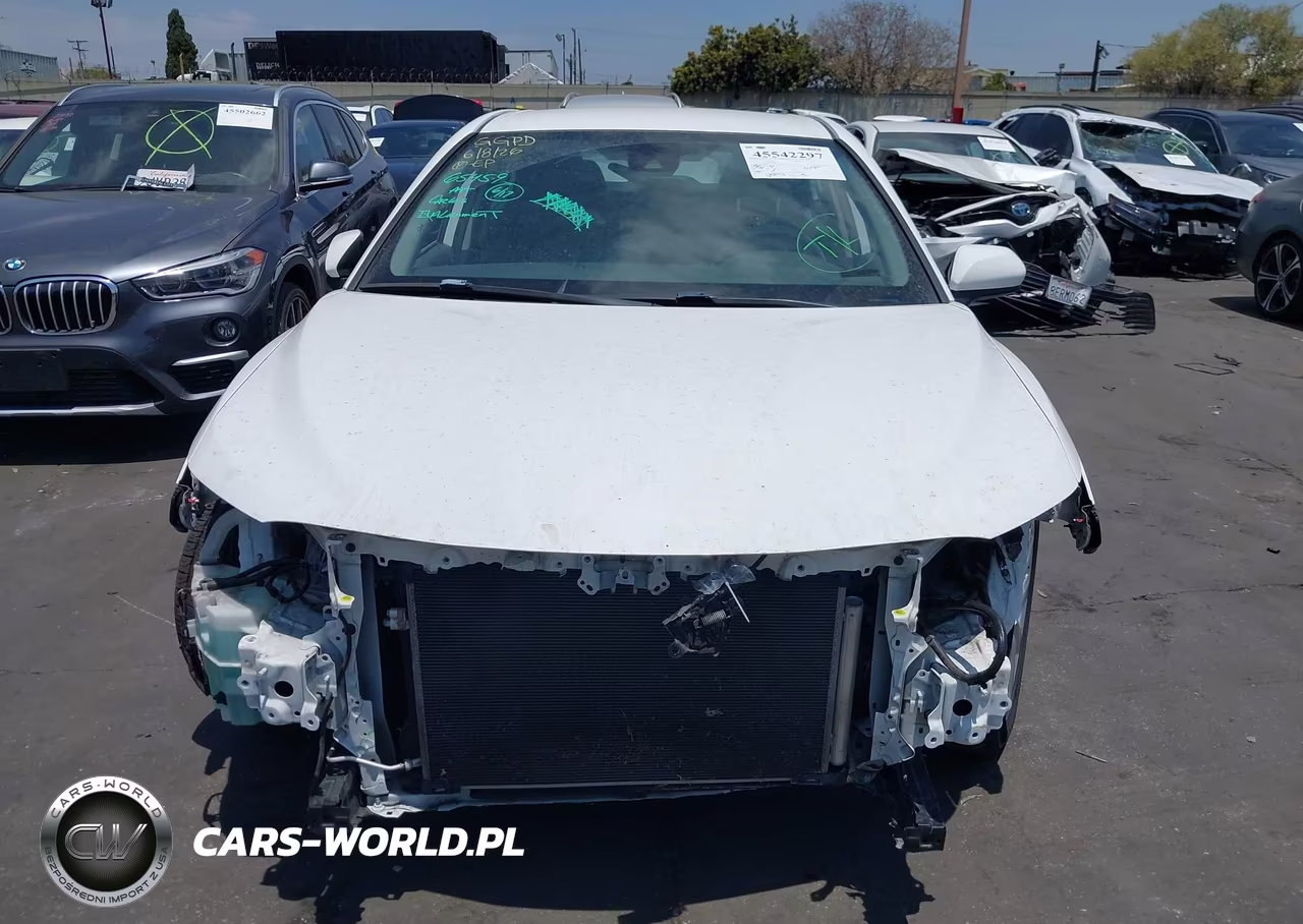 2019 Toyota Camry Le VIN:4T1B11HK8KU807536 - 13