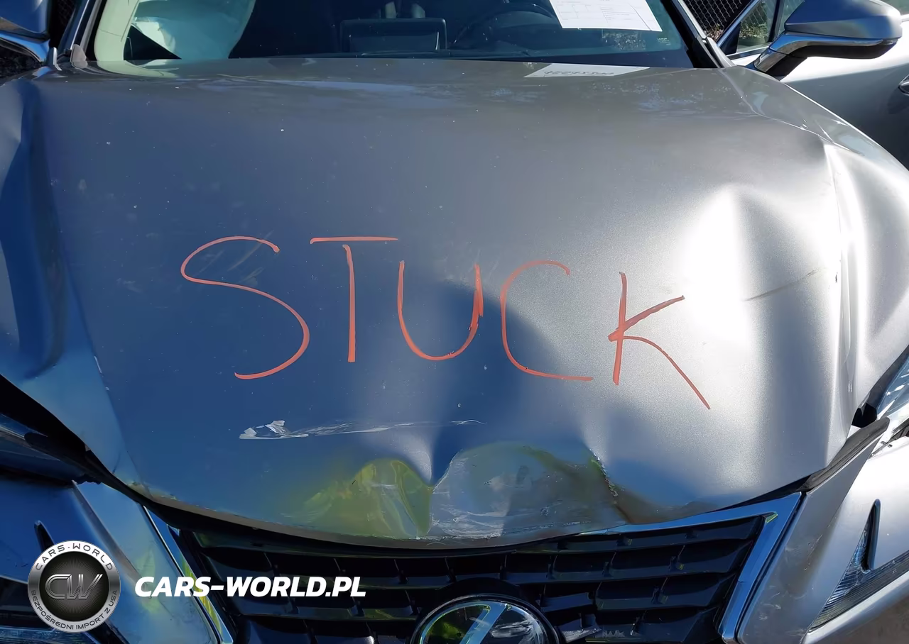 2019 Lexus Nx 300 VIN:JTJYARBZ8K2154671 - 10