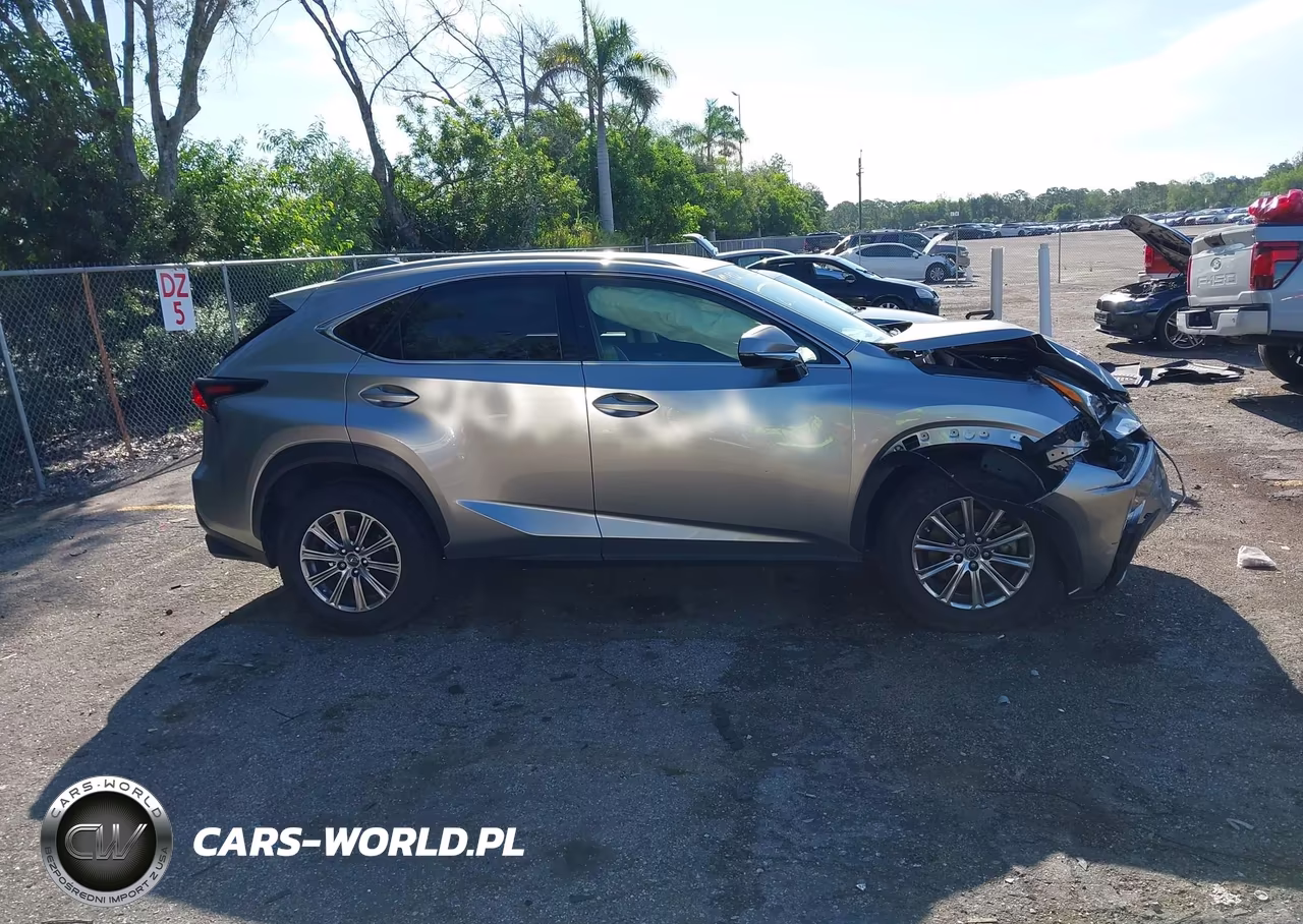 2019 Lexus Nx 300 VIN:JTJYARBZ8K2154671 - 13