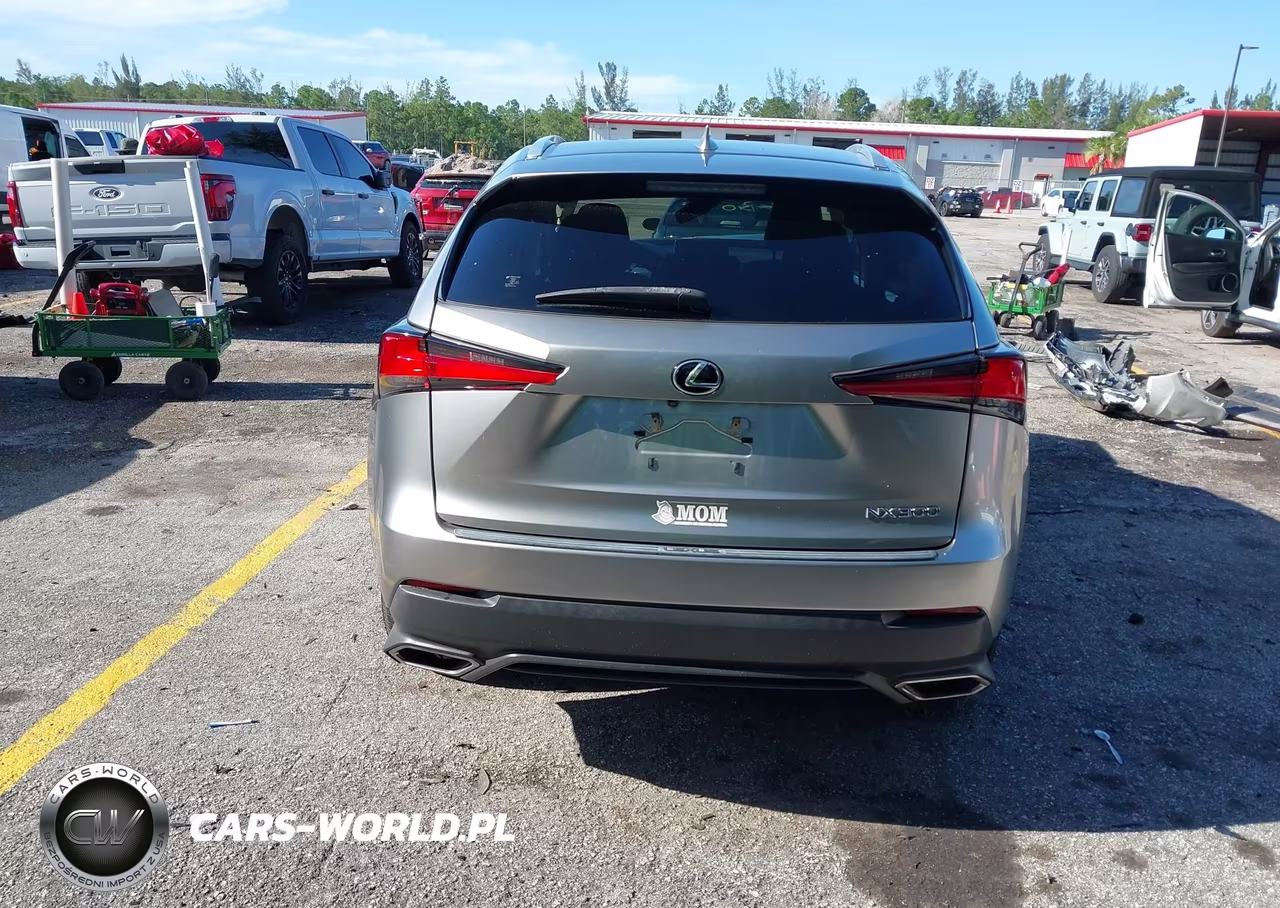 2019 Lexus Nx 300 VIN:JTJYARBZ8K2154671 - 16
