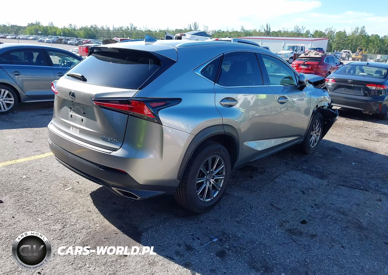 2019 Lexus Nx 300 VIN:JTJYARBZ8K2154671 - 4