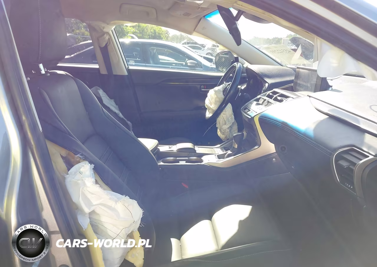 2019 Lexus Nx 300 VIN:JTJYARBZ8K2154671 - 5