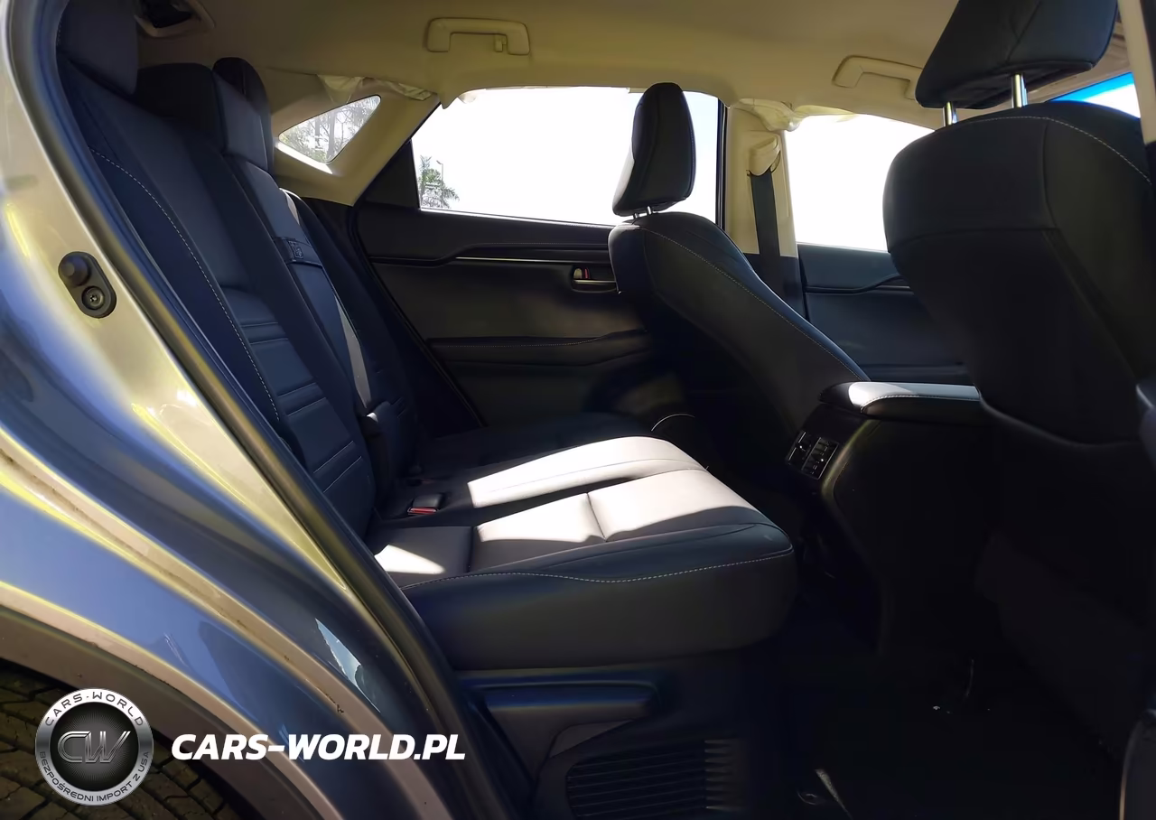 2019 Lexus Nx 300 VIN:JTJYARBZ8K2154671 - 8