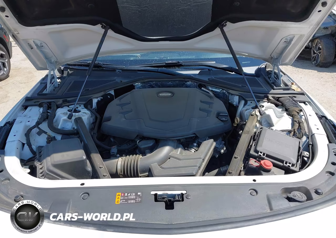 2019 Cadillac Ct6 Luxury VIN:1G6KB5RS1KU113779 - 10