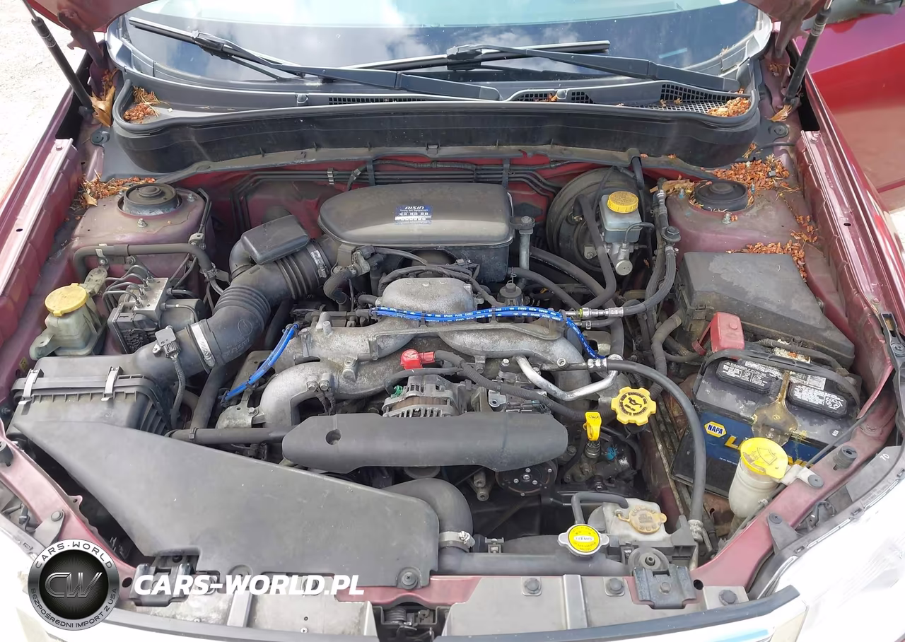 2010 Subaru Forester 2.5X Premium VIN:JF2SH6CC9AH904007 - 10
