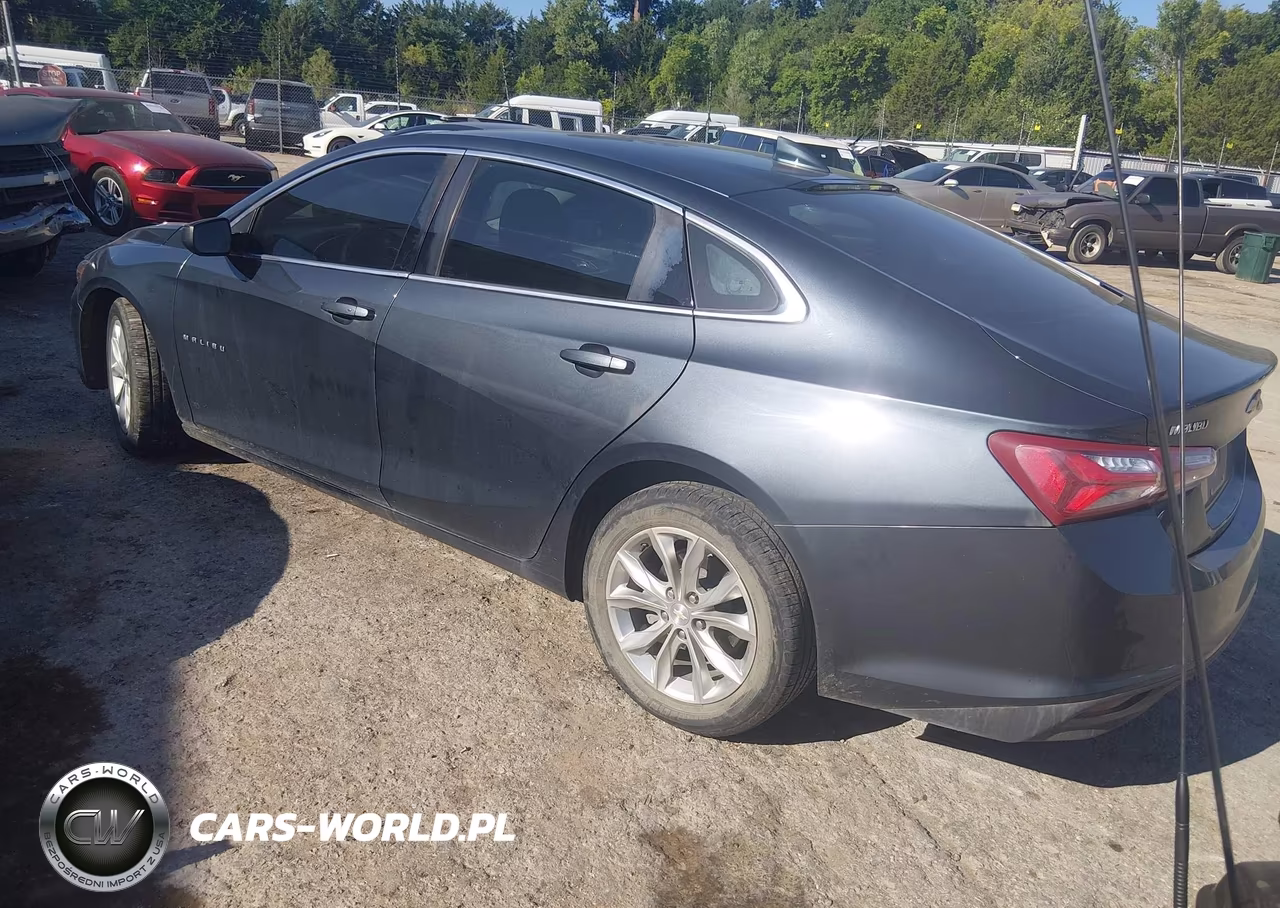 2019 Chevrolet Malibu Lt VIN:1G1ZD5ST2KF109763 - 3