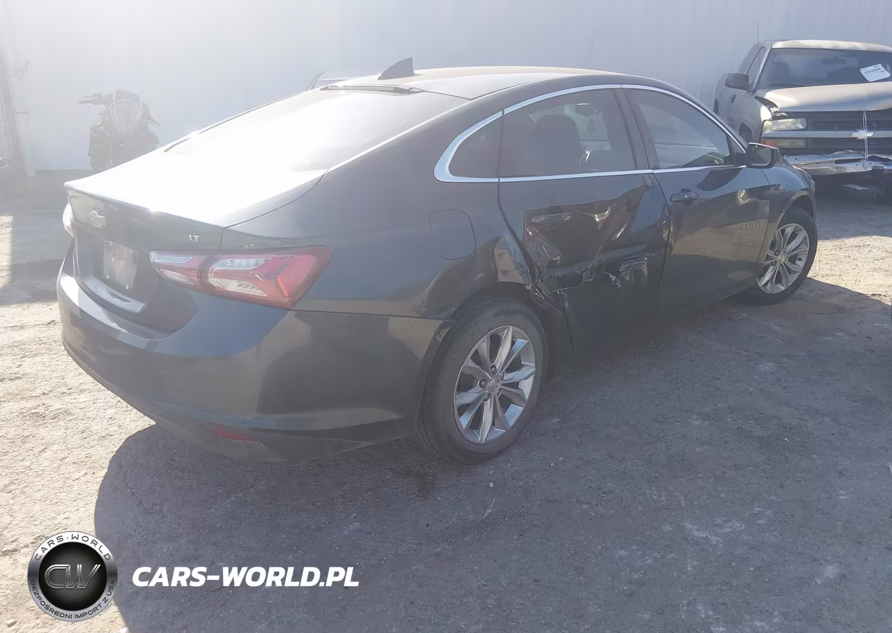 2019 Chevrolet Malibu Lt VIN:1G1ZD5ST2KF109763 - 4