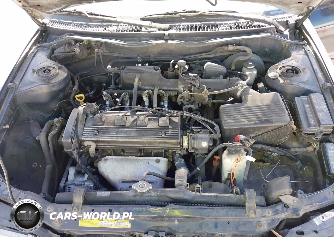 1996 Toyota Corolla Dx VIN:2T1BB02E0TC169537 - 10