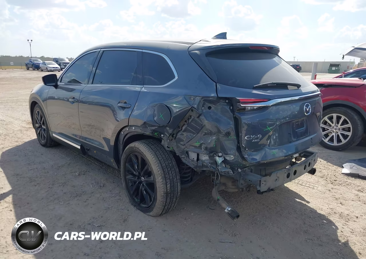 2023 Mazda Cx-9 Carbon Edition VIN:JM3TCBDY4P0634669 - 3