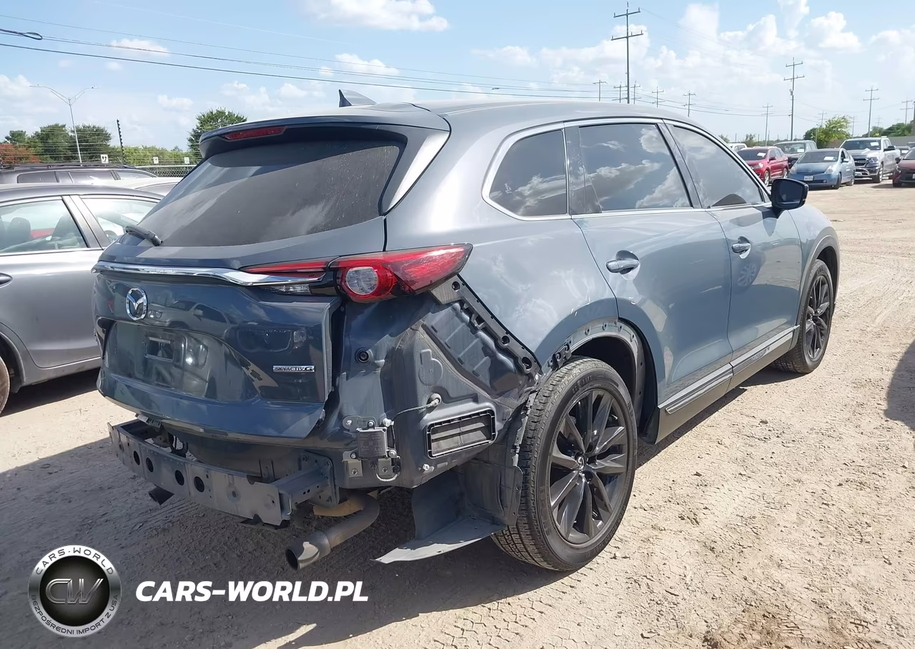 2023 Mazda Cx-9 Carbon Edition VIN:JM3TCBDY4P0634669 - 4