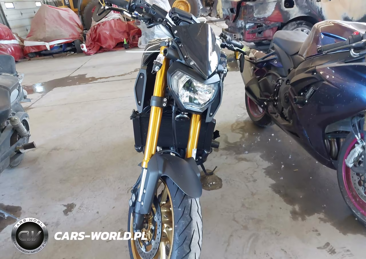 2014 Yamaha Fz09 VIN:JYARN33E0EA003897 - 5