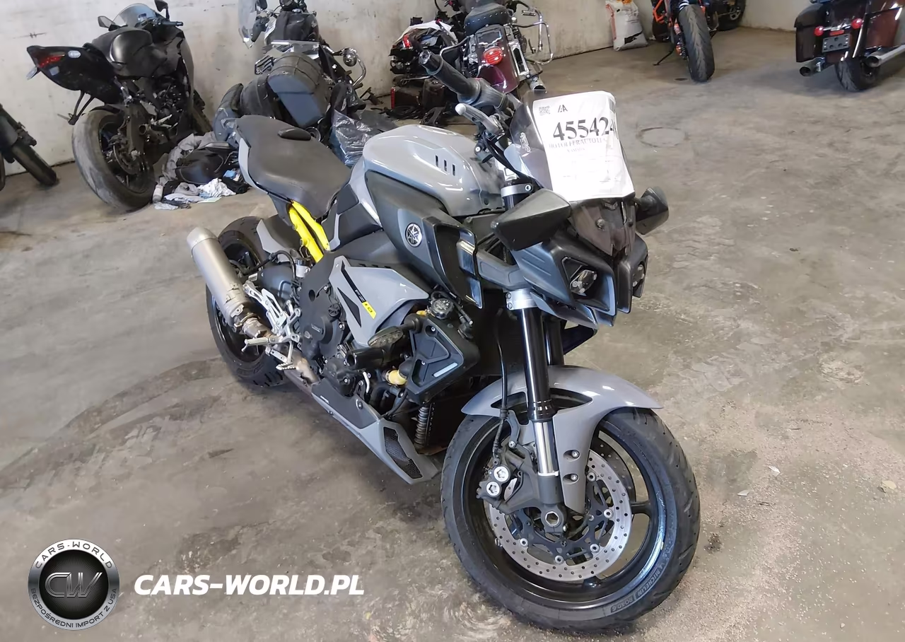 2017 Yama Fz10 – zdjęcie 1 z 15