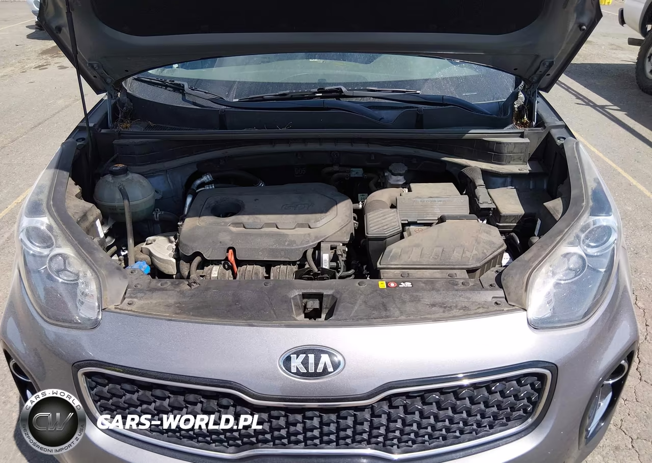 2018 Kia Sportage Lx VIN:KNDPMCAC3J7469976 - 10