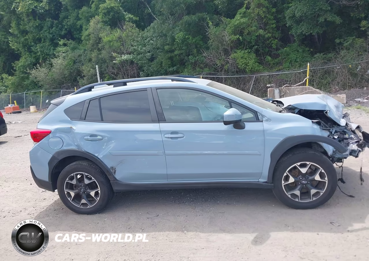 2019 Subaru Crosstrek Premium VIN:JF2GTACC9KG355603 - 11