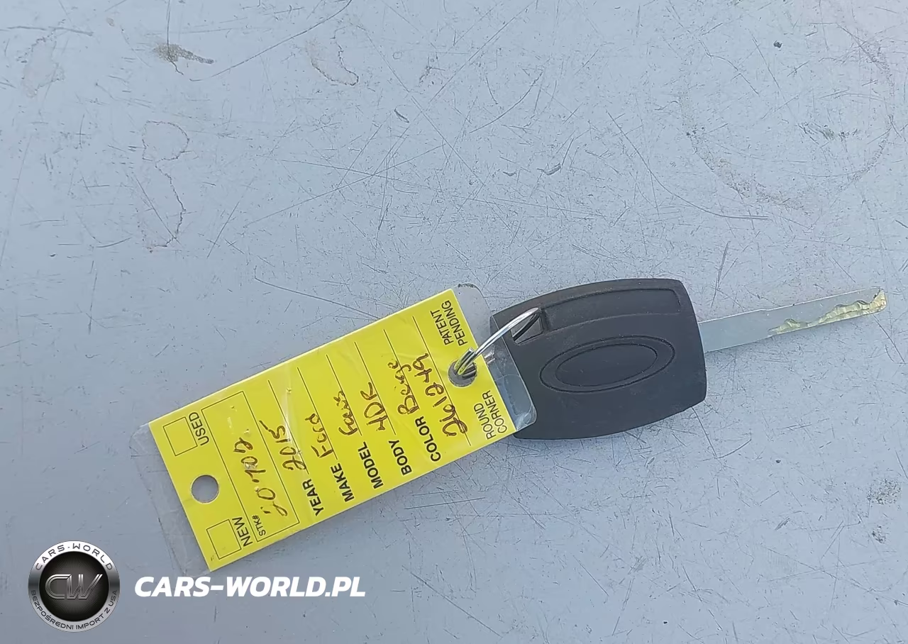 2015 Ford Focus Se VIN:1FADP3F28FL261249 - 11