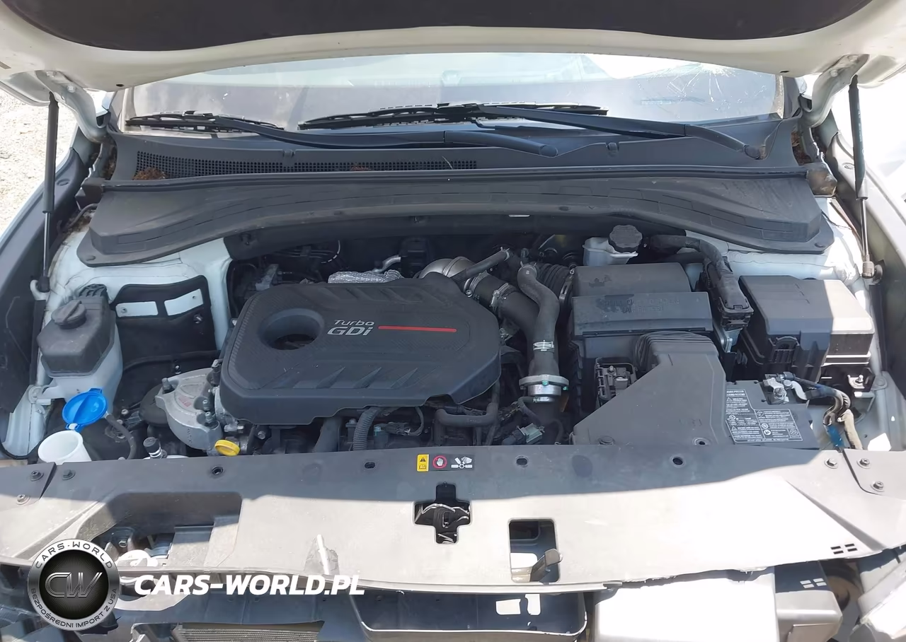 2019 Hyundai Santa Fe Ultimate 2.0T VIN:5NMS5CAA5KH092535 - 10