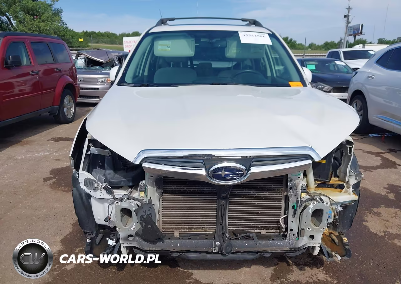 2016 Subaru Forester 2.5I Premium VIN:JF2SJADCXGH423942 - 13