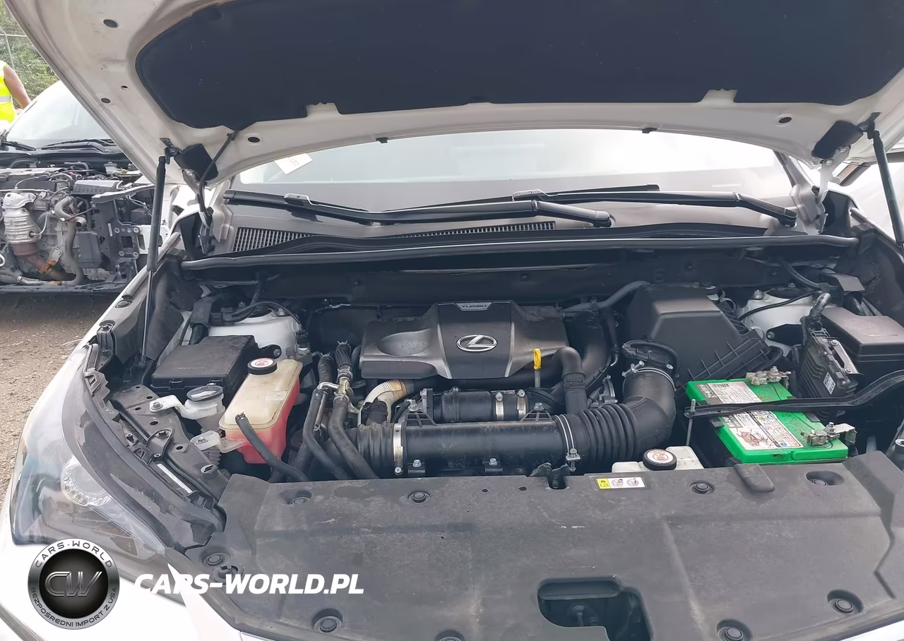 2020 Lexus Nx 300 VIN:JTJDARDZ3L5007007 - 10