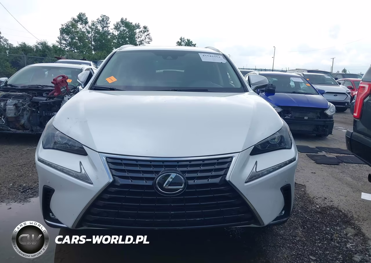 2020 Lexus Nx 300 VIN:JTJDARDZ3L5007007 - 12