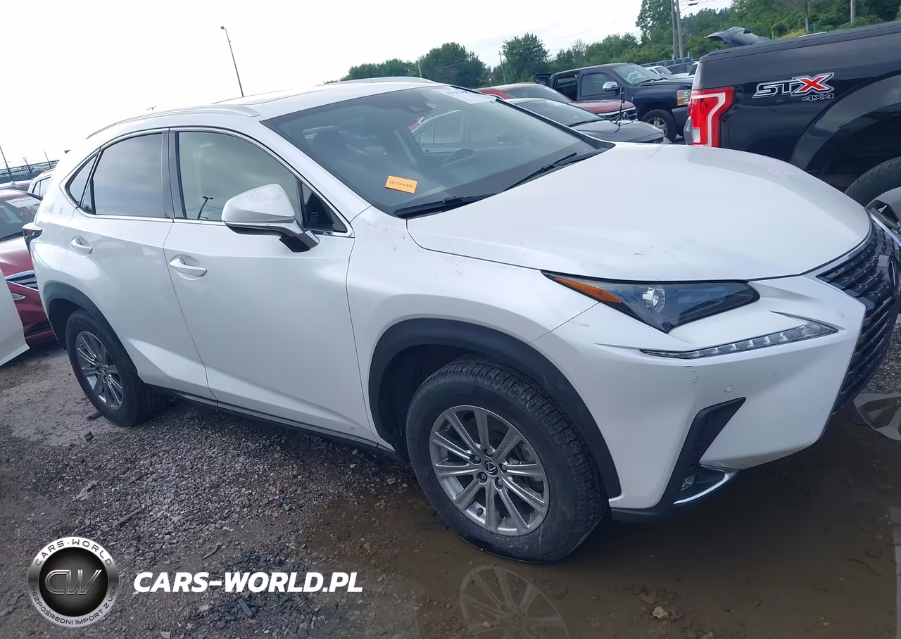 2020 Lexus Nx 300 VIN:JTJDARDZ3L5007007 - 13