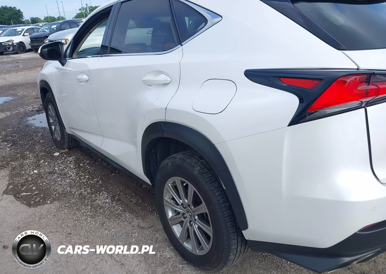 2020 Lexus Nx 300 VIN:JTJDARDZ3L5007007 - 14