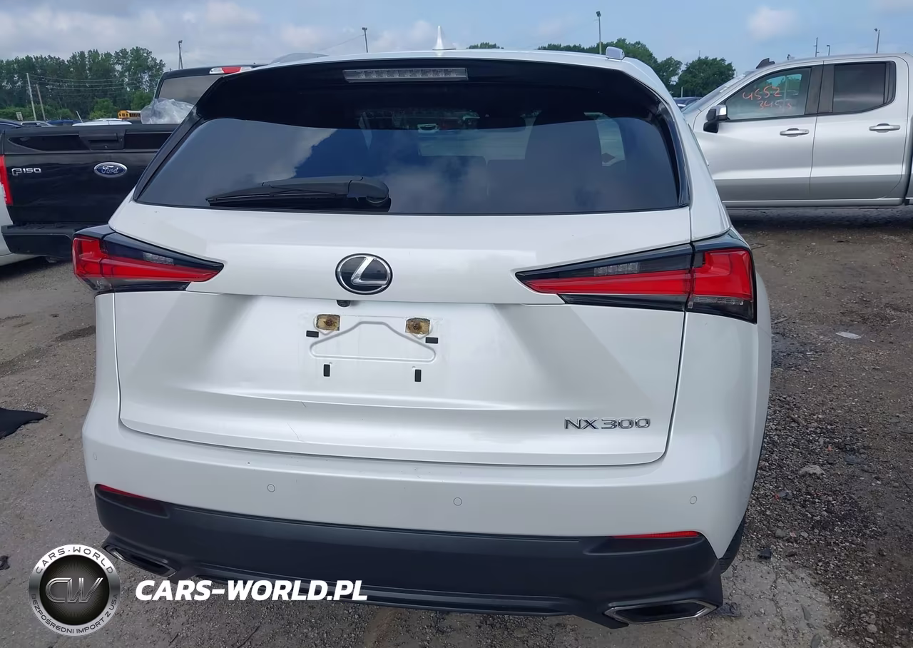 2020 Lexus Nx 300 VIN:JTJDARDZ3L5007007 - 16