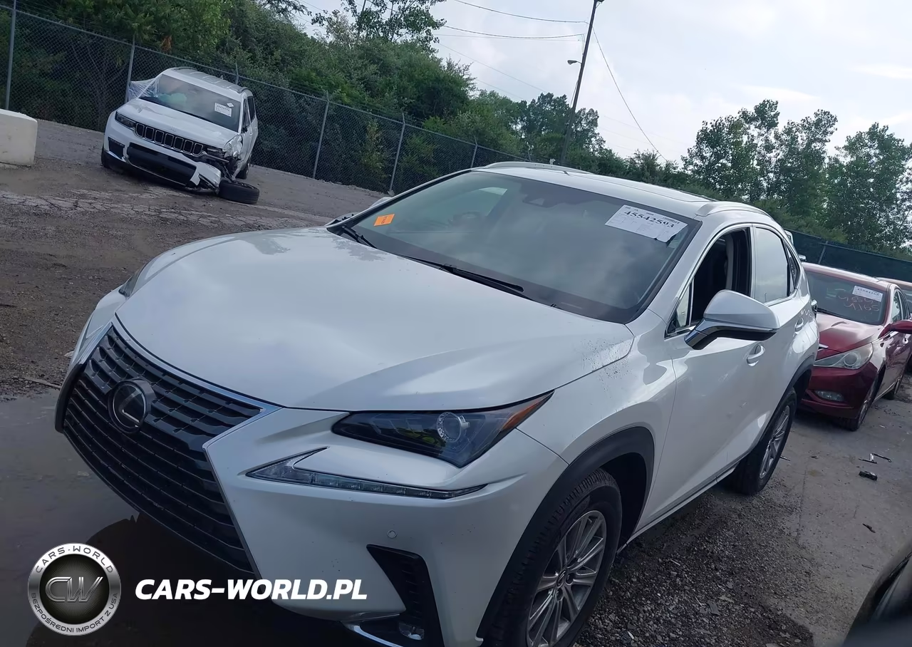 2020 Lexus Nx 300 VIN:JTJDARDZ3L5007007 - 2