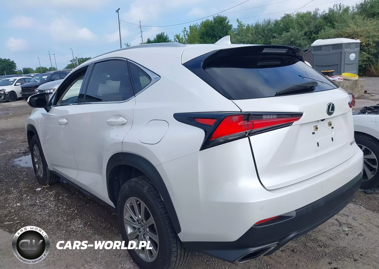2020 Lexus Nx 300 VIN:JTJDARDZ3L5007007 - 3