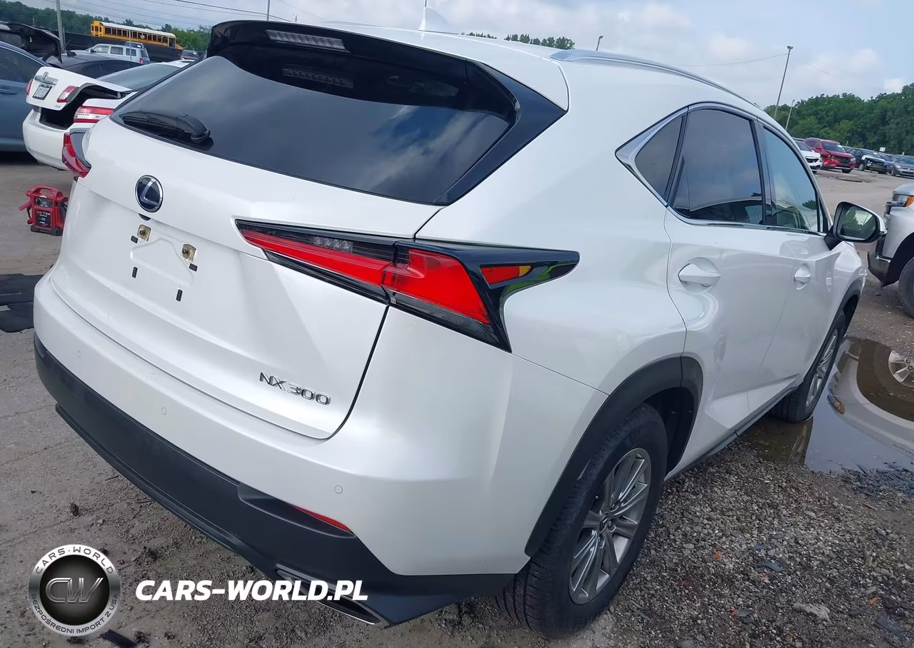 2020 Lexus Nx 300 VIN:JTJDARDZ3L5007007 - 4