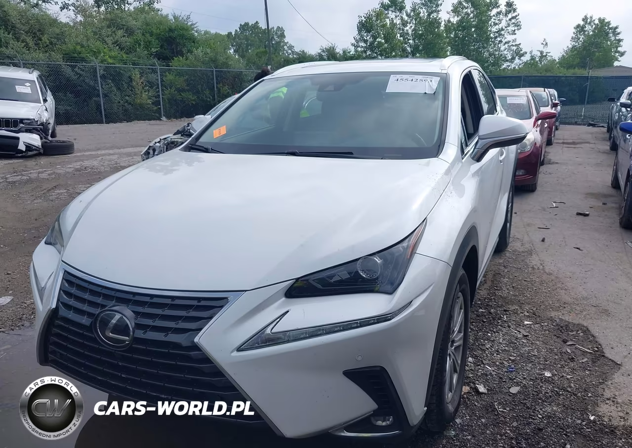 2020 Lexus Nx 300 VIN:JTJDARDZ3L5007007 - 6