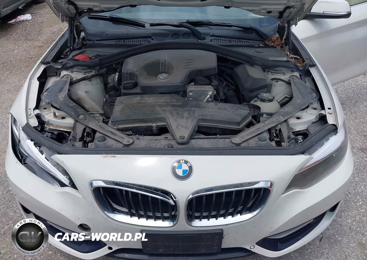 2016 BMW 228I VIN:WBA1K9C59GV322902 - 10