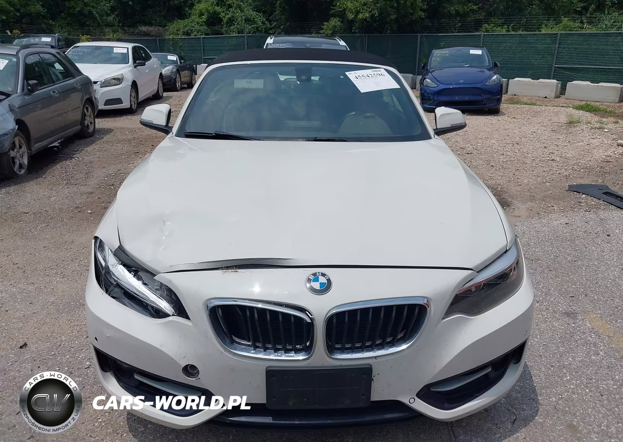2016 BMW 228I VIN:WBA1K9C59GV322902 - 13