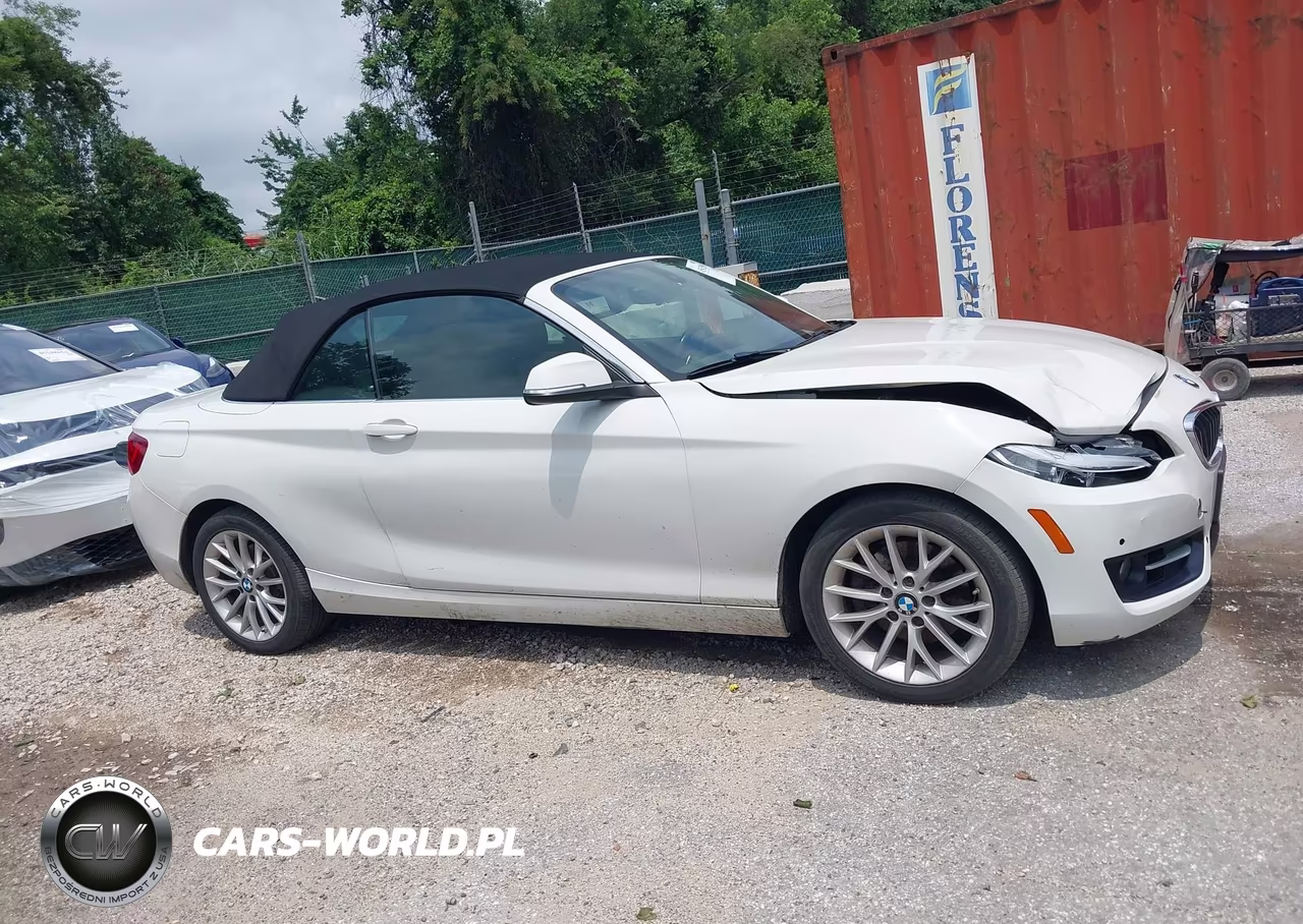 2016 BMW 228I VIN:WBA1K9C59GV322902 - 14