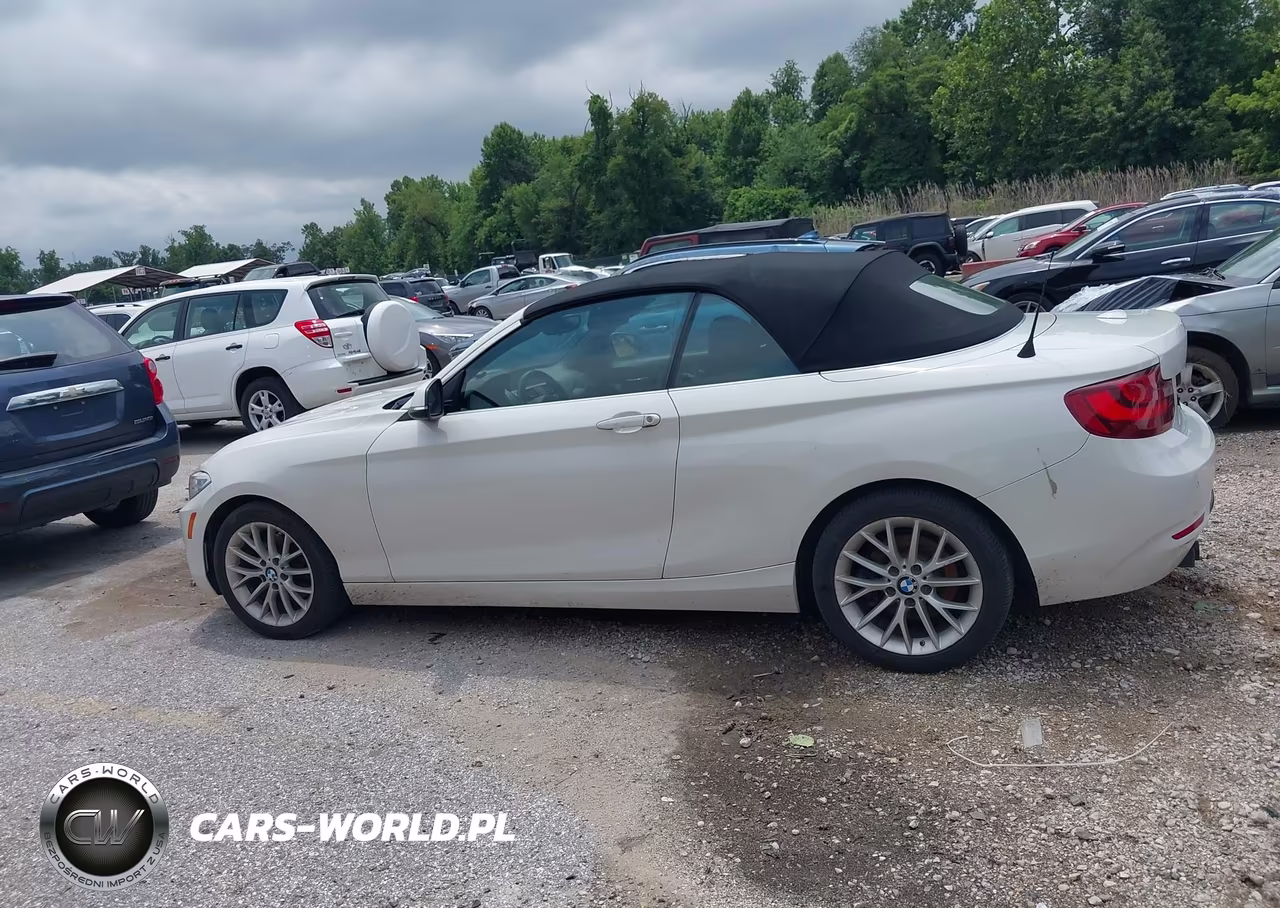 2016 BMW 228I VIN:WBA1K9C59GV322902 - 15