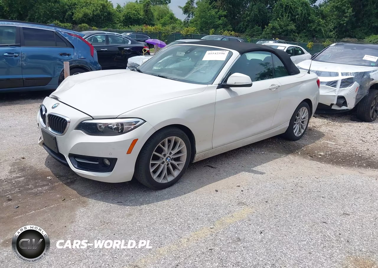 2016 BMW 228I VIN:WBA1K9C59GV322902 - 2