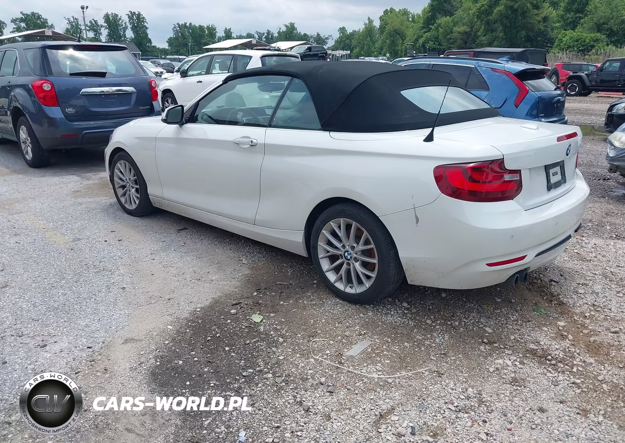 2016 BMW 228I VIN:WBA1K9C59GV322902 - 3