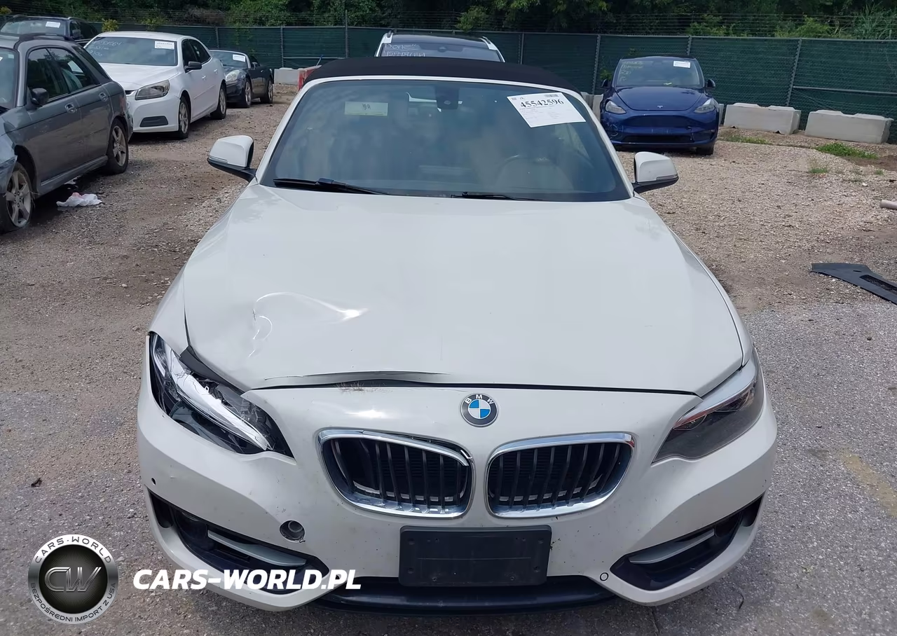 2016 BMW 228I VIN:WBA1K9C59GV322902 - 6