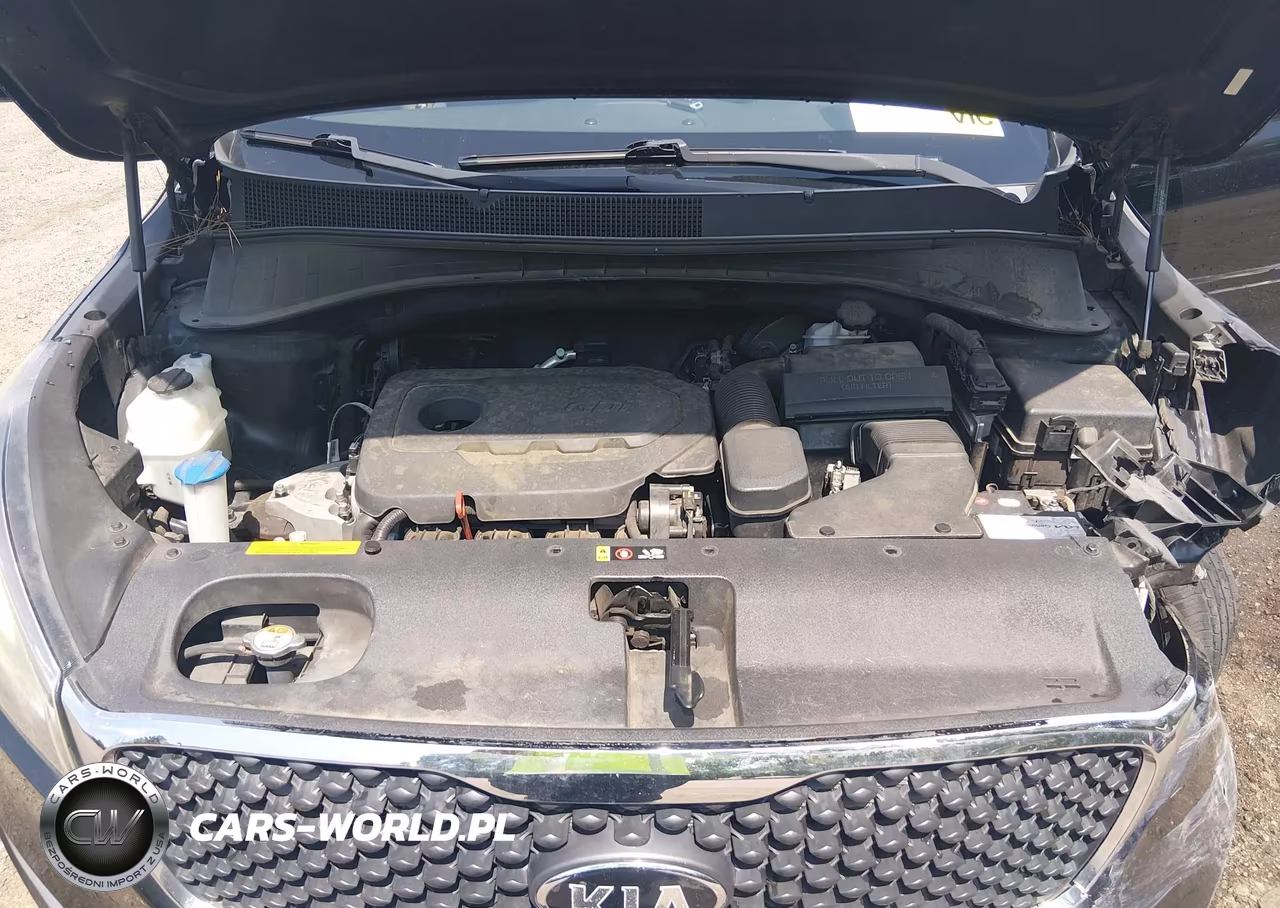 2018 Kia Sorento 2.4L L VIN:5XYPG4A33JG345478 - 10