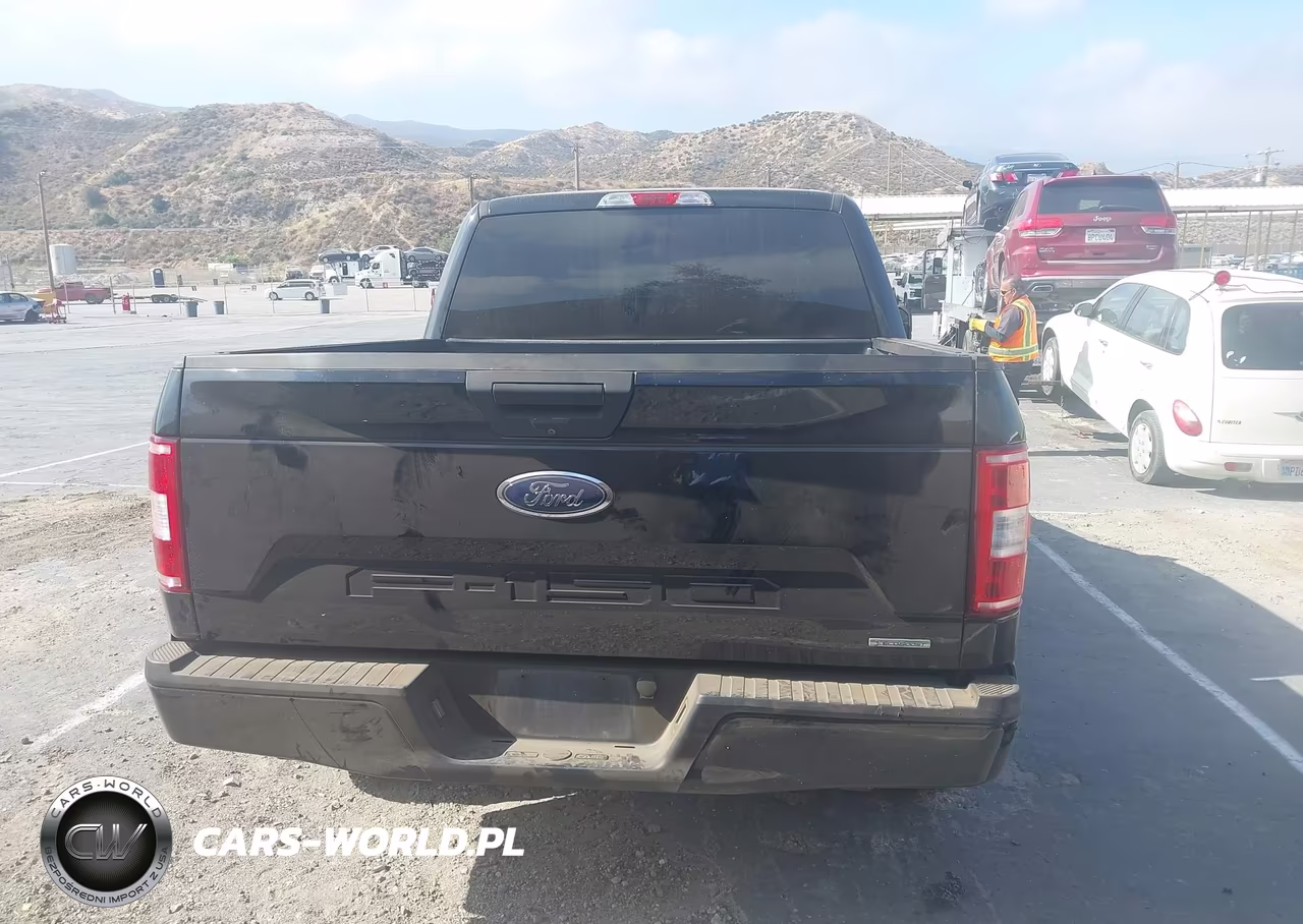 2020 Ford F-150 Xl VIN:1FTEW1CP9LKF18300 - 17