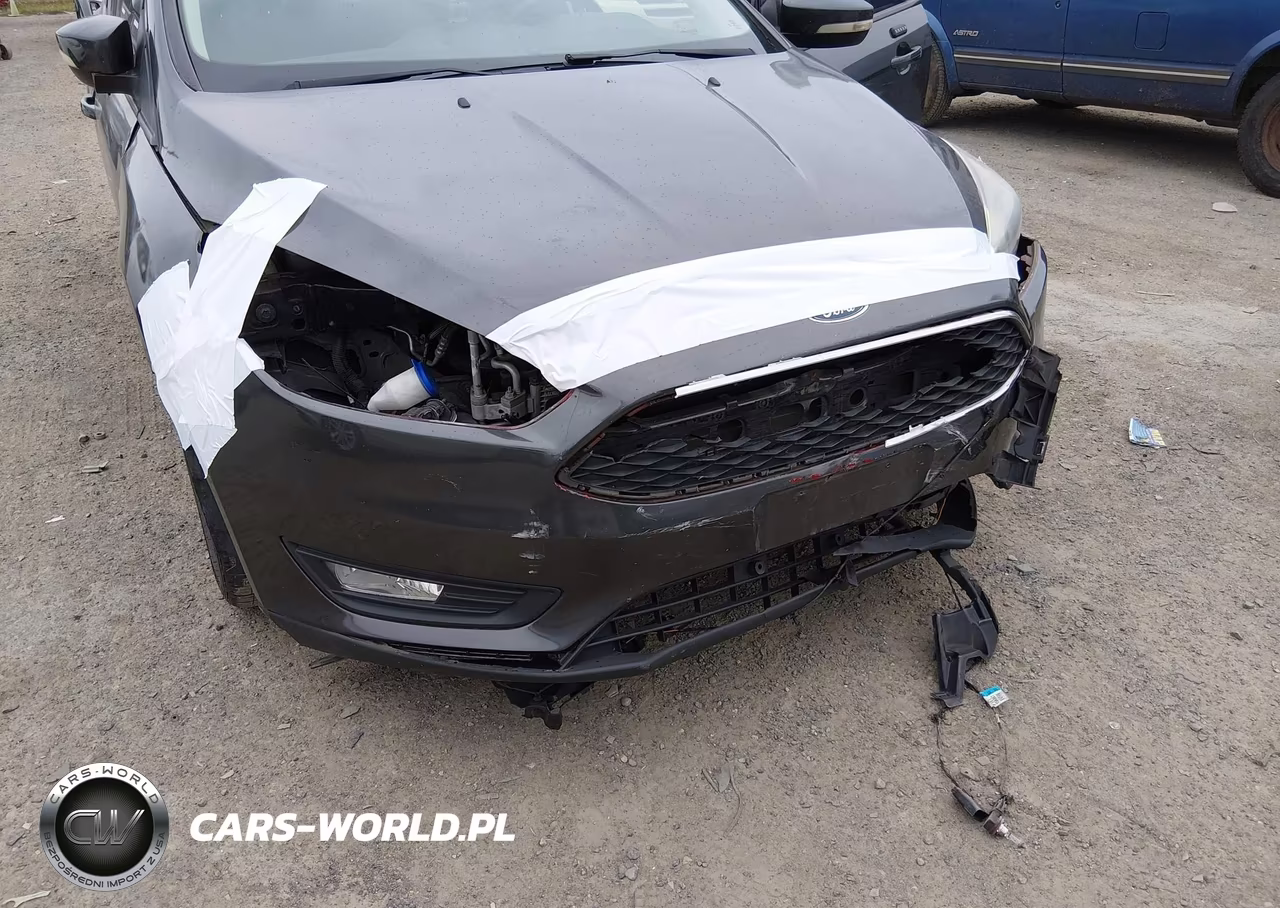2016 Ford Focus Se VIN:1FADP3F29GL405344 - 16