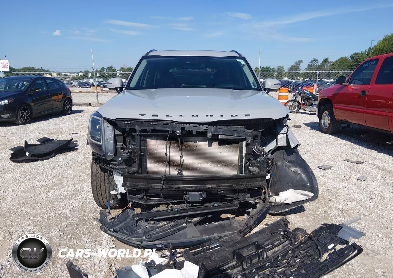 2021 Kia Telluride Sx VIN:5XYP5DHC1MG158076 - 13