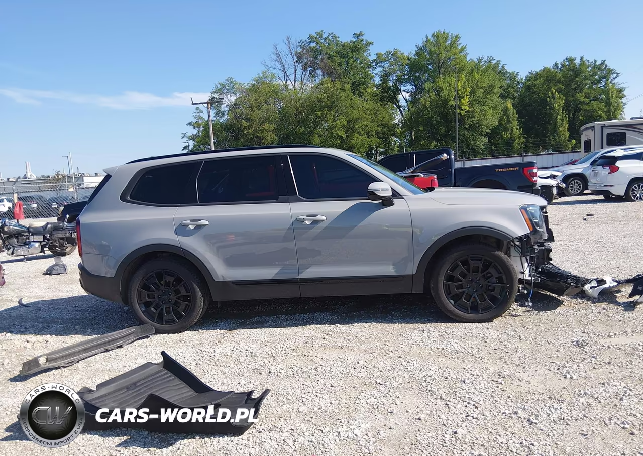 2021 Kia Telluride Sx VIN:5XYP5DHC1MG158076 - 14