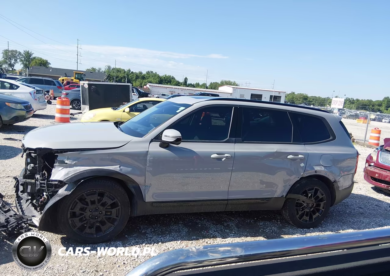 2021 Kia Telluride Sx VIN:5XYP5DHC1MG158076 - 15