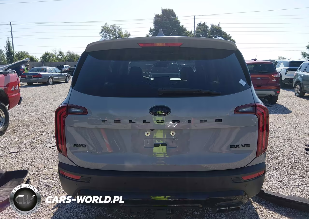 2021 Kia Telluride Sx VIN:5XYP5DHC1MG158076 - 17