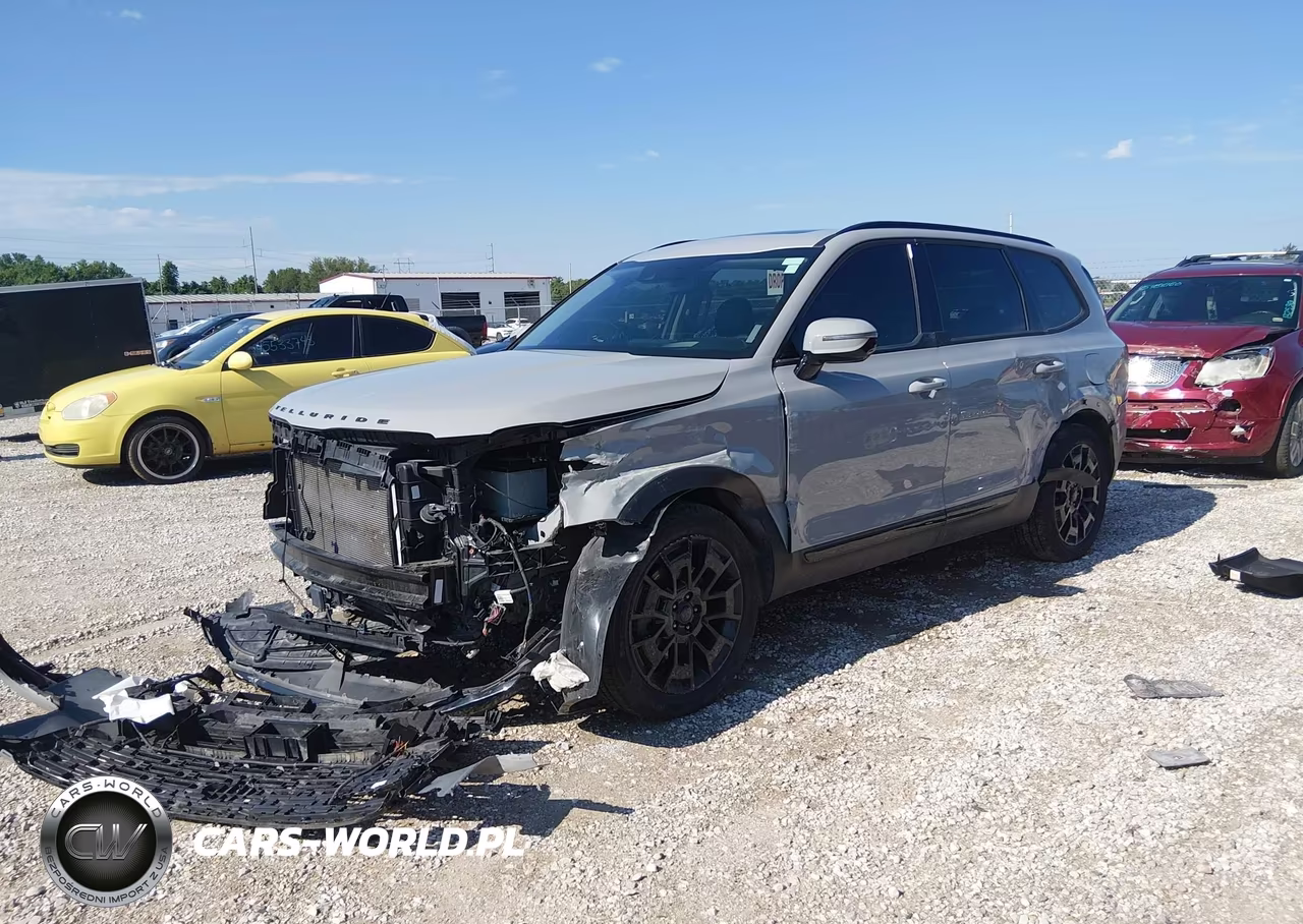 2021 Kia Telluride Sx VIN:5XYP5DHC1MG158076 - 2