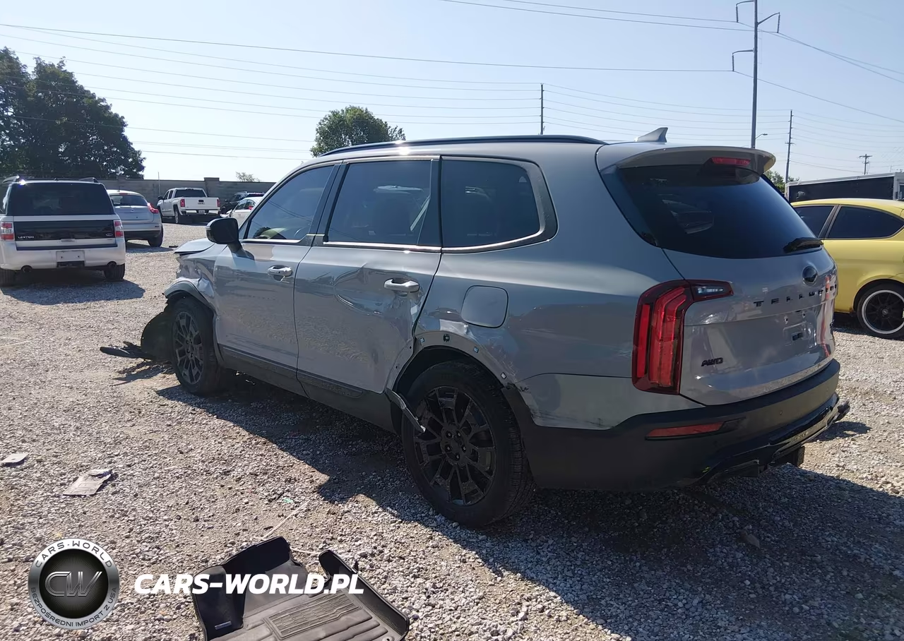 2021 Kia Telluride Sx VIN:5XYP5DHC1MG158076 - 3